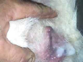 Extreme Black Porn Site