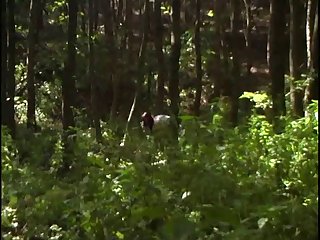 Extreme Zoo Porn Pics