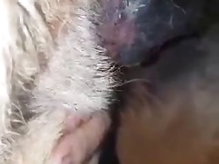 Extreme Low Hanging Tits Porn