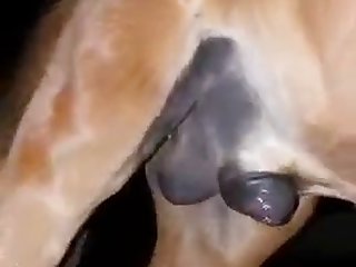 Extreme Low Hanging Tits Porn