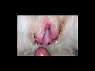 Extreme Massage Porn