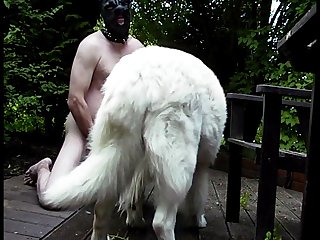 Sauna Extreme Big Tit Porn