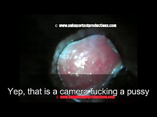 Hardcore Extreme Brutal Porn