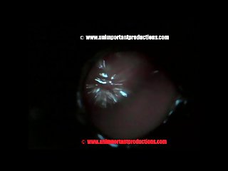 Hardcore Extreme Brutal Porn