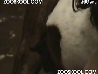 Extreme Ass Eating Porn