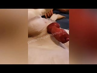 Veronica Silesto Xxx