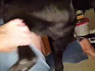 Porn Perfect