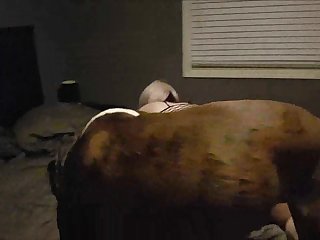Zooporn