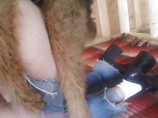 Porn Animal