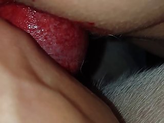 8tube