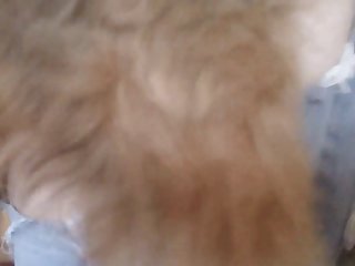 Zooxhamster