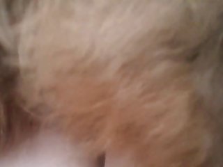 Zooxhamster