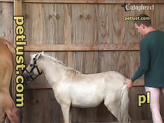 Horse Cums Inside Woman