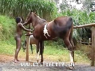 Luxuretv Xxx