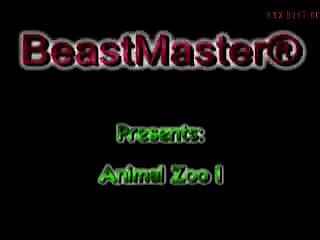 Bestiality Chat
