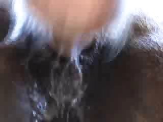 Vida Pegging