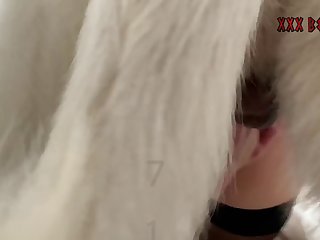 Dolphin Beastiality