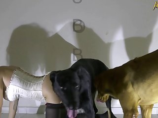 Porn Dogs