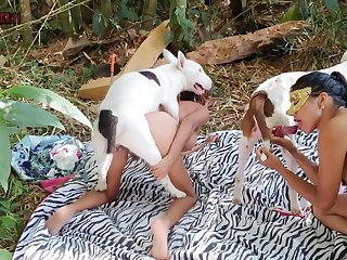 Zoo Prn