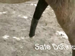 Ds Testvid01 Zetatracker