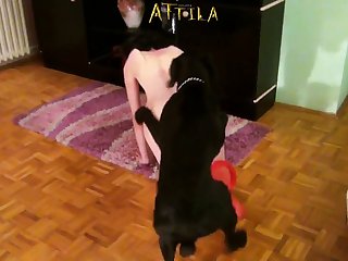 Zooxnxx