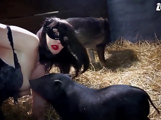 Horseporn