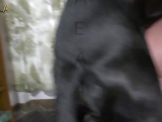 Homemade Dog Porn