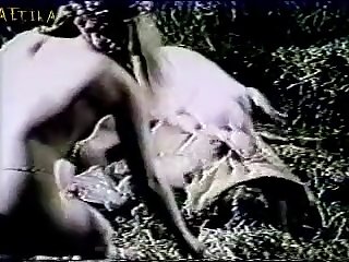 Dog Licking Ass Porn