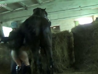 Amateur Bestiality