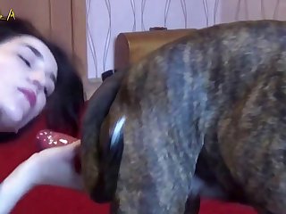 Girl Sucks Dog Cock