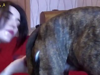 Girl Sucks Dog Cock