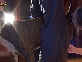 Beastiality Sex Taboo