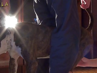 Beastiality Sex Taboo