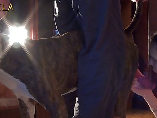 Beastiality Sex Taboo