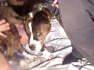 Beastiality Sex Taboo