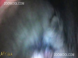 Sapna Sappu Xxx Porn