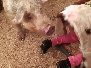 Lana Rhoades Xxx Porn Videos