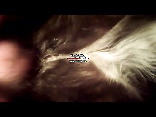 Step Sis Porn Star Xxx