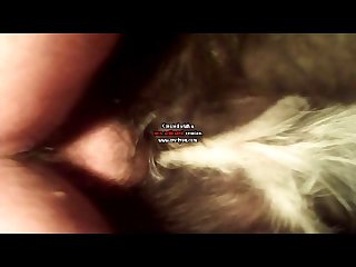 Step Sis Porn Star Xxx