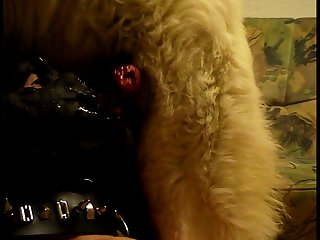 Naughty America Porn Xxx