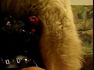 Naughty America Porn Xxx