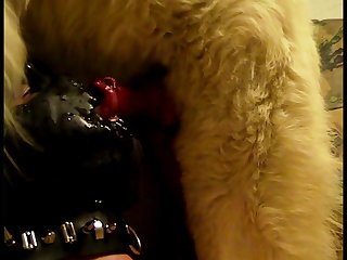 Shiraz Sex Xxx Porn