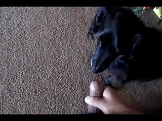 Padre Hijo Desnudos Real Xxx Porn