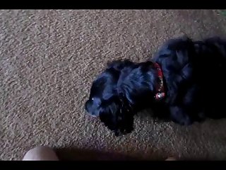 Padre Hijo Desnudos Real Xxx Porn