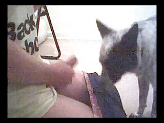 Bdsm Squirt Xxx Porn