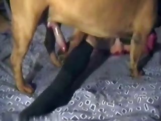 Porn Hub Big Xxx