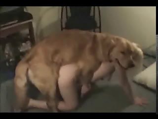 Ssbbw Porn Xxx
