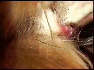 Kate Winslet Xxx Porn