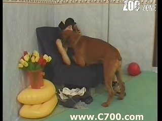Porn Xxx Live