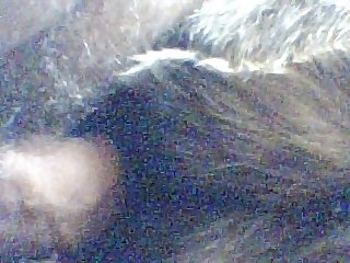 Img Ru Boy 308 Xxx Porn